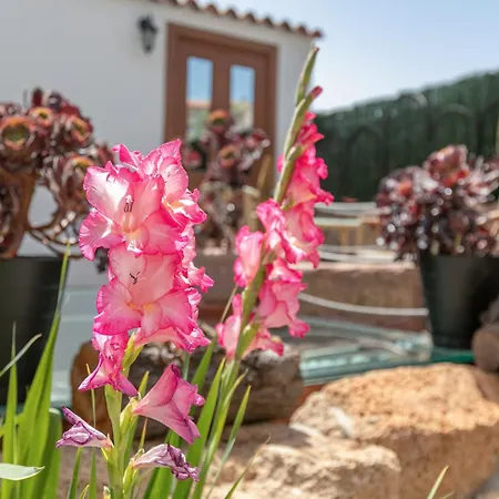 Casa de Férias Casa Tajinaste Vilaflor