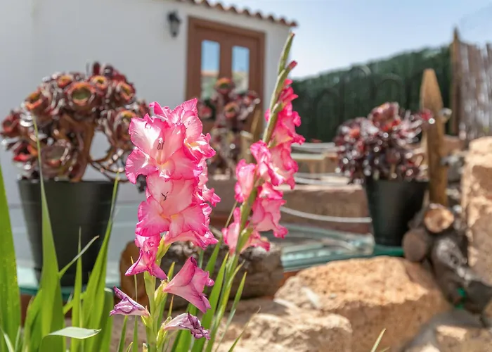 Vakantiehuis Casa Tajinaste Vilaflor